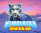 Himalayan Wild